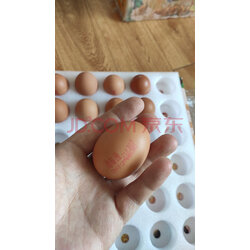 德青源 精选鲜鸡蛋礼盒 60枚 京东超级盒子 实拍图