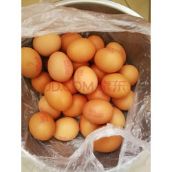 德青源 精选鲜鸡蛋礼盒 60枚 京东超级盒子 实拍图