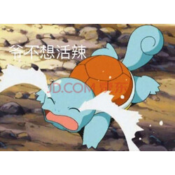 芬达fanta 无糖零卡 橙味 汽水 碳酸饮料 330ml*24 摩登罐 整箱装