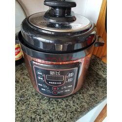 新飞 (frestec)电压力锅 小容量迷你压力锅智能电高压饭煲 母婴可用