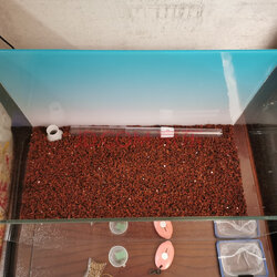 鱼缸底部过滤器