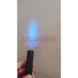 南京蔬菜新种类现场观摩会上多个“美妙”新品冷艳露脸