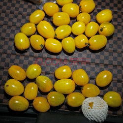 东北花皮球柿子黄柿子新鲜蔬菜虎皮番茄西红柿小番茄 2kg 实拍图