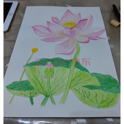 蒙玛特(mont marte)水彩纸180g 美术8k4k画纸儿童水彩颜料画画加厚