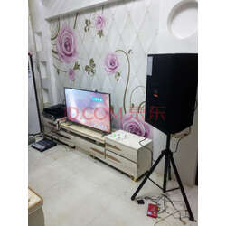 【唐龙太极演出音箱】唐龙太极演出音箱哪款好