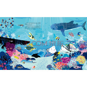 正版小白鸽童书馆:潜入深海(精装绘本)林云