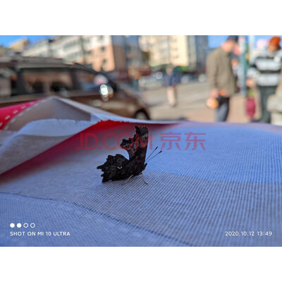 小米10 至尊纪念版真实使用揭秘,不看后悔哟