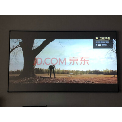 咨询极米N20怎么样？业主评价很高吗？