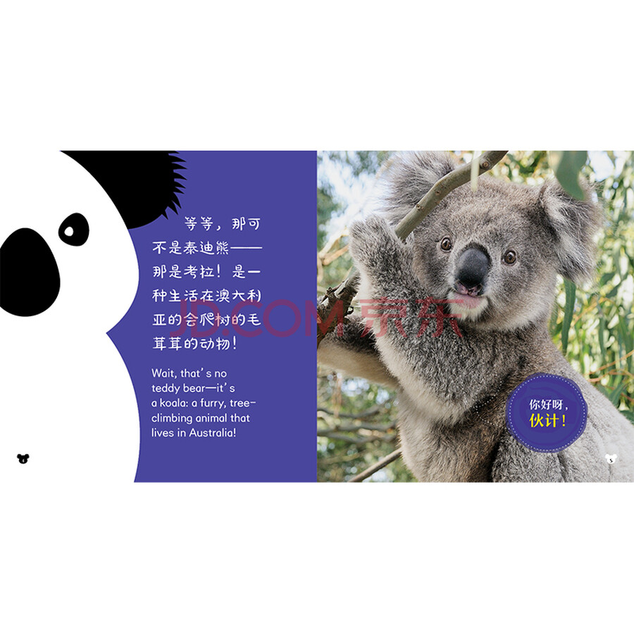 国家地理幼幼动物小百科系列 考拉