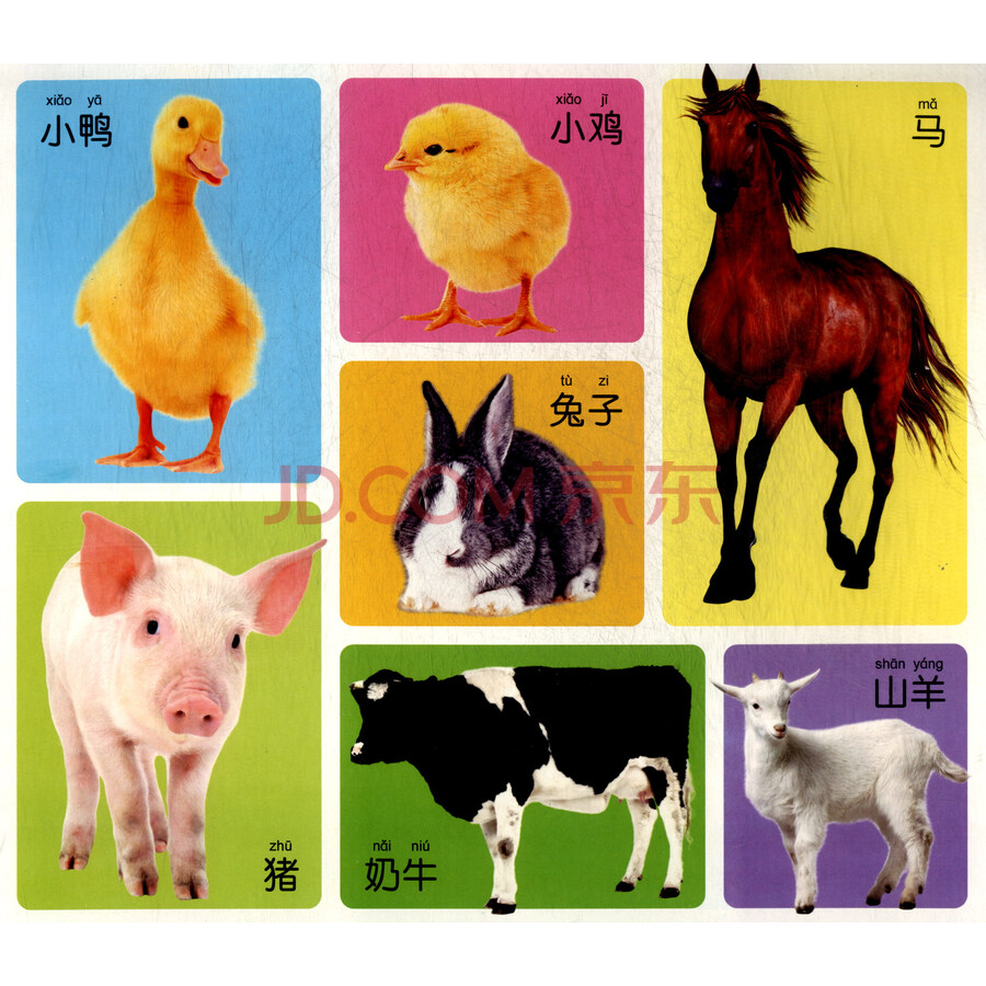 阳光宝贝翻翻挂图:认知篇