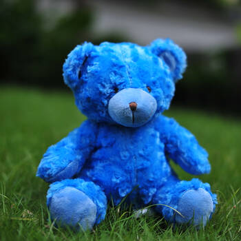 金洋创意毛绒玩具熊公仔 泰迪熊 蓝色玫瑰熊 生日礼物 女生