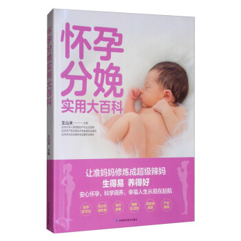 新手妈妈枕边书系列：怀孕分娩实用大百科