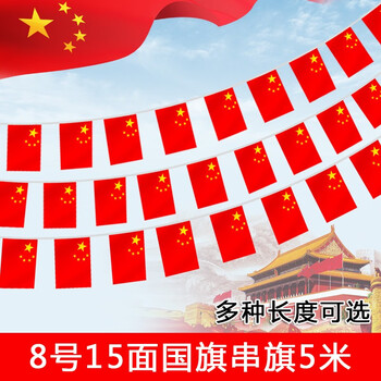 12345号纳米防水大号中国国旗五星红旗户外五号防水国旗96x64cm