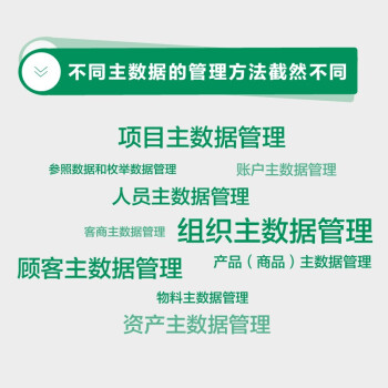 主数据管理：企业数据化建设基础(博文视点出品)（精装版）