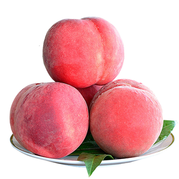 丽星新品薄荷凉面148g6桶装方便速食清凉爽口桶装方便面非油炸148g6桶