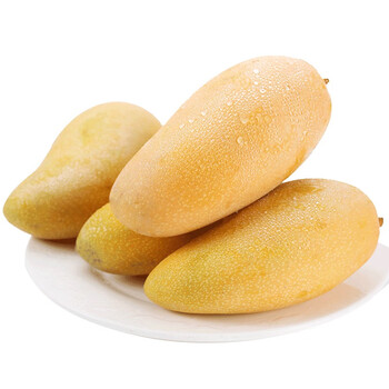 台湾水仙大芒果排行榜,台湾水仙大芒果十大排名推荐