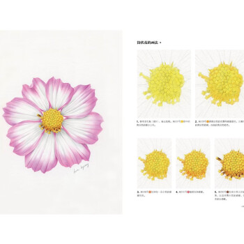 绘森活-花之画-彩铅写实花卉技法