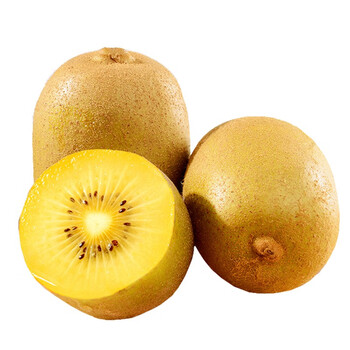 静益乐源黄心猕猴桃 金果奇异果 新鲜水果 5斤大果装单果110-130g
