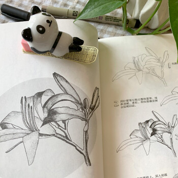 黑白花之绘150例 唯美手绘花卉教程