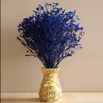 宝蓝色花怎么样好用吗?