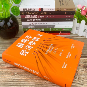 10册 薛兆丰经济学讲义 精装经济学类书籍博弈论犹太人经济常识一本全国富论北大哈佛经济课吉德林沃尔