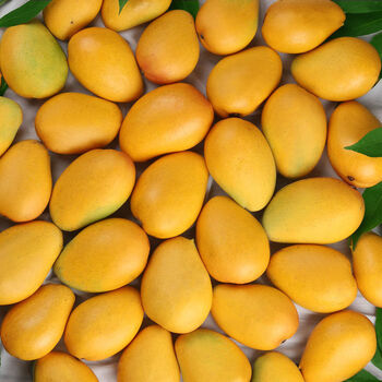 【特价】小台芒新鲜芒果应季水果批发 带箱9-10斤特小-普通