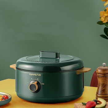 九阳(joyoung)电炖锅 多功能料理锅 电煮锅 家用电火锅 2l dg20g-gd