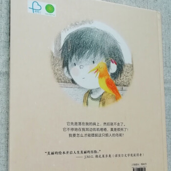 我肩上的一只小鸟（“宝贝，你慢慢来”精装哲学启蒙绘本，诺贝尔文学奖得主勒克莱奇奥推荐）