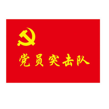 盛亨利 定制青年突击队旗帜  党员突击队旗帜 订做旗子 团建团员团