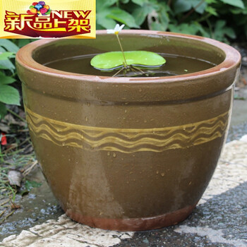 30厘米鱼缸养鱼怎么样好用吗?