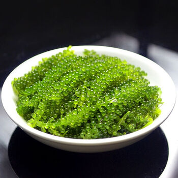 姬禄福 新鲜即食盐渍海葡萄 爆浆口感 海洋蔬菜 鱼子酱1 特惠海葡萄