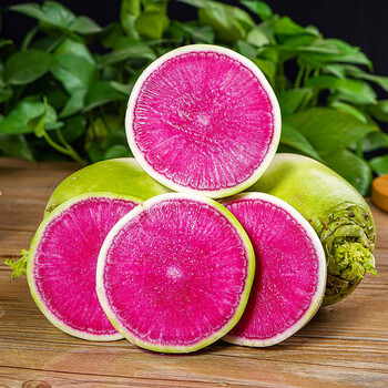 心里美水果萝卜甜脆水果型10斤潍坊潍县新鲜正宗生吃5青绿皮红心 5斤