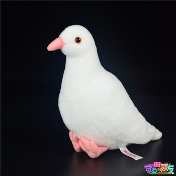 仿真玩偶 超萌鸽子公仔 小信鸽毛绒玩具礼品礼物 白鸽子【迪丽热巴款