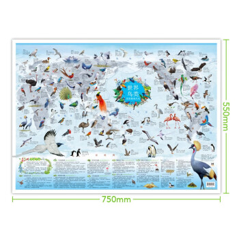 少儿地图(全2册）世界鸟类+珍稀动物 高清大尺寸小学生家用专用挂画
