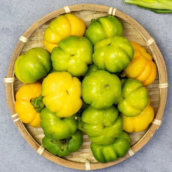 苦子果云南傣味特产野菜蔬菜食用洋苦茄子苦味香浓现摘德宏农产品 大