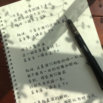 奶酪字帖网红字体女生小清新练字贴成年手写情书翩翩体楷书初中生