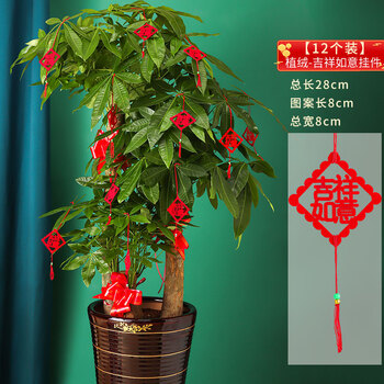 绿植小红灯笼发财树上新居入宅仪式布置用品 吉祥如意挂件(12个装)