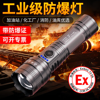 哈拿（TRE-Hana）防爆手电筒户外强光远射调焦led可充电军加油站化工巡逻专用带证 液晶电显F1195S防爆手电筒双电池