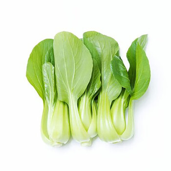风味坐标 瓢儿菜500g 合江华艺陶瓷基地传供