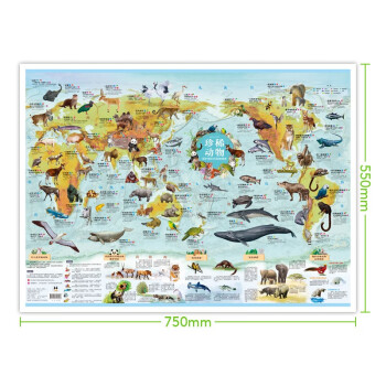 少儿地图(全2册）世界鸟类+珍稀动物 高清大尺寸小学生家用专用挂画