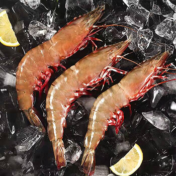 海日出 刺身深海鳌虾新鲜速冻海鳌虾1000g活捕鲜冻日料刺身 2斤14-18