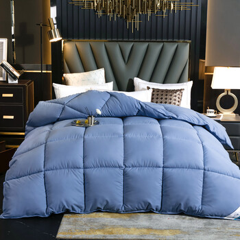 羽绒被95白鹅绒被冬被子加厚6斤8斤白鸭绒被芯家纺单人 雾蓝 150x200