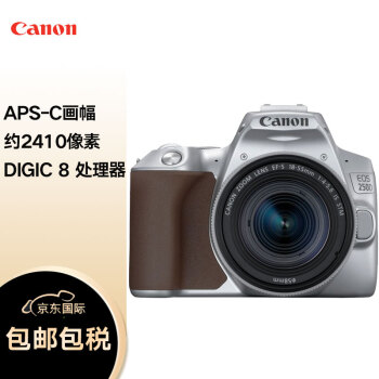 佳能（Canon）EOS 250D单反数码相机 +18-55mm IS STM 镜头 银色套机（200D二代200DII同款海外版）