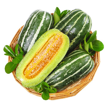 花皮甜瓜博洋9号甜瓜 山东新鲜水果现摘当季脆瓜羊角蜜香瓜 5斤装