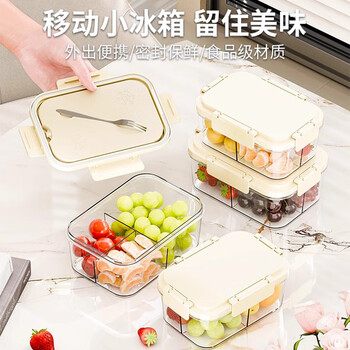 佳立方水果便当盒食品级小学生专用密封保鲜盒露营便携外出移动小冰箱