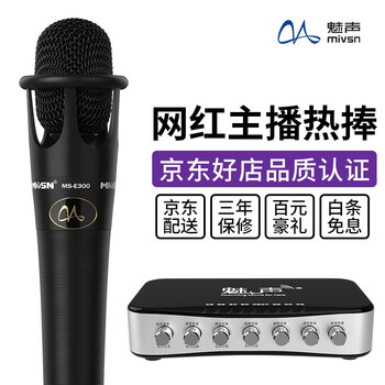 专业有线话筒e