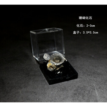 天然珊瑚石摆件排行榜 天然珊瑚石摆件十大排名推荐 京东