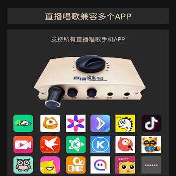 莱维特（LEWITT）  支撑式 麦克风 直播一号转换器（单独下单不发货）