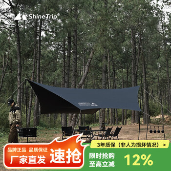 山趣 （ShineTrip）户外露营黑胶天幕六角防晒涂银天幕便携式防雨野餐遮阳棚 六角流沙金黑胶含杆