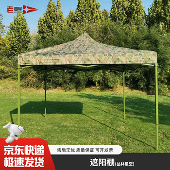 老姜军 雨棚遮阳棚伸缩四角帐篷雨棚 丛林星空2 2*2